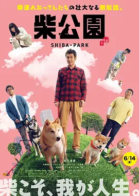 久久午夜视频